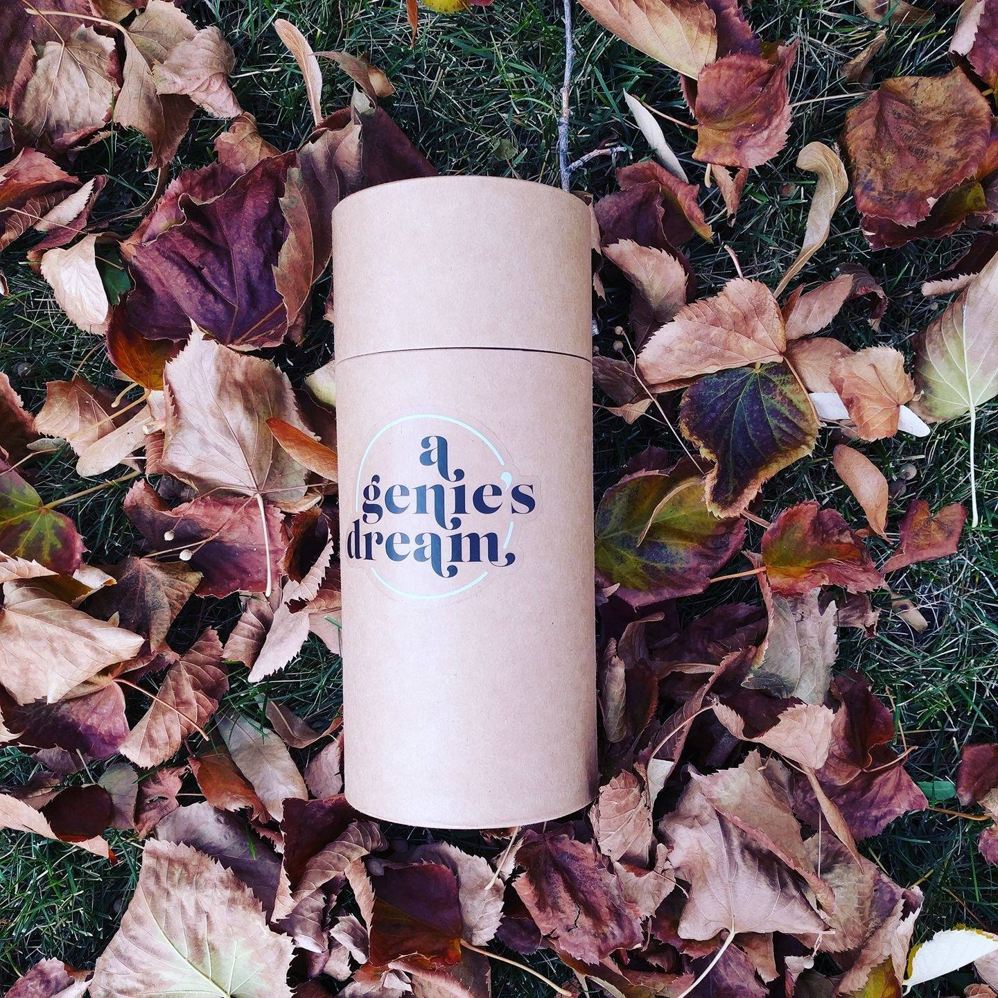 Fall Collection 2024