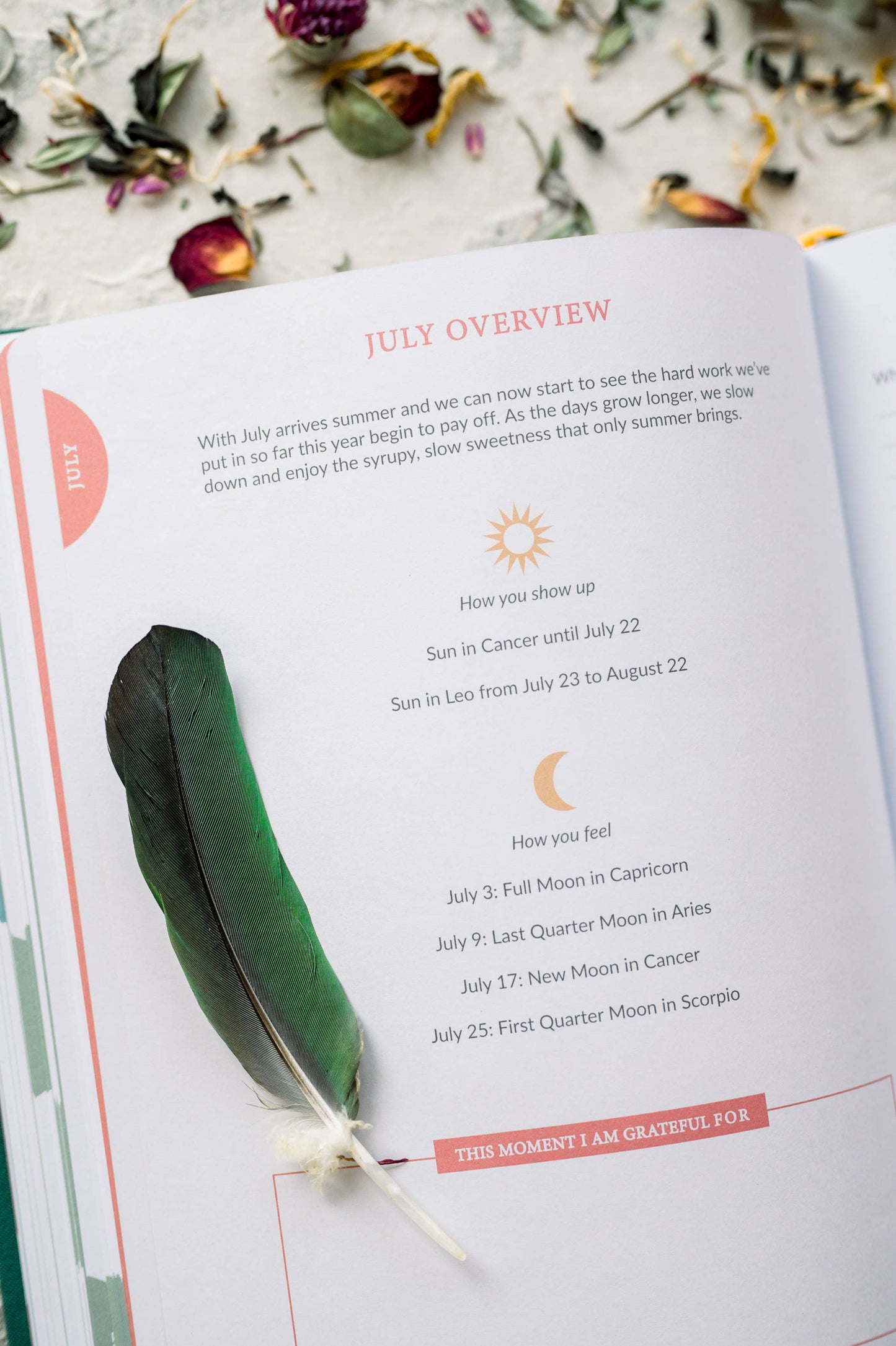 2024 Soul Care Planner - Astrology Planner - Witchy Planner