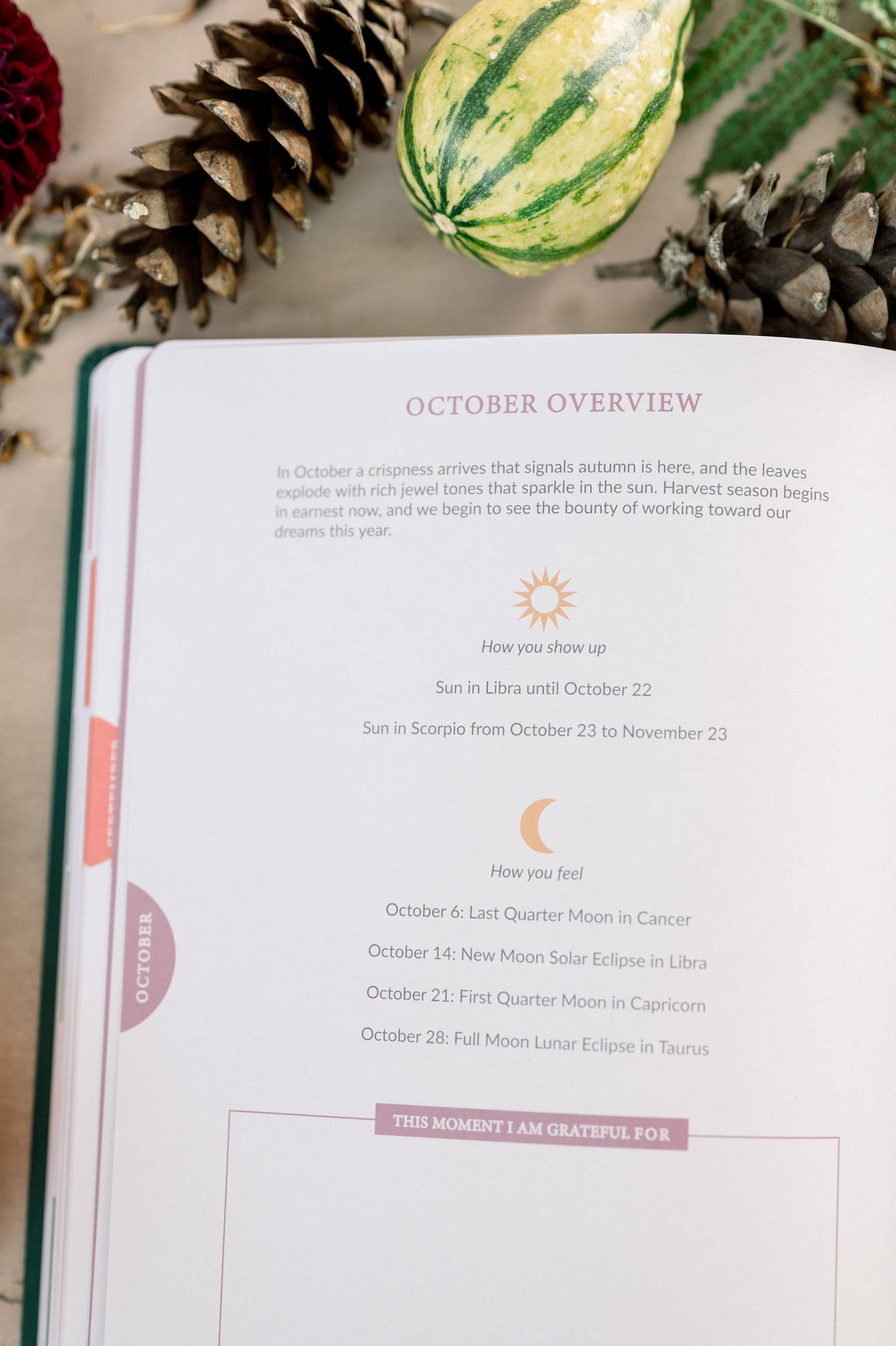 2024 Soul Care Planner - Astrology Planner - Witchy Planner