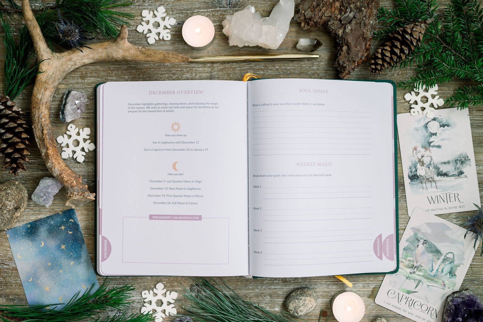 2024 Soul Care Planner - Astrology Planner - Witchy Planner